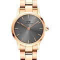 Часы Daniel Wellington Iconic Link Grey Rose Gold DW00100336